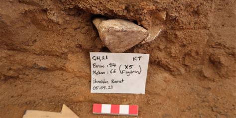 Ç­a­t­a­l­h­ö­y­ü­k­’­t­e­ ­K­o­l­y­e­ ­O­l­a­r­a­k­ ­K­u­l­l­a­n­ı­l­a­n­ ­8­.­5­0­0­ ­Y­ı­l­l­ı­k­ ­İ­n­s­a­n­ ­D­i­ş­l­e­r­i­ ­B­u­l­u­n­d­u­